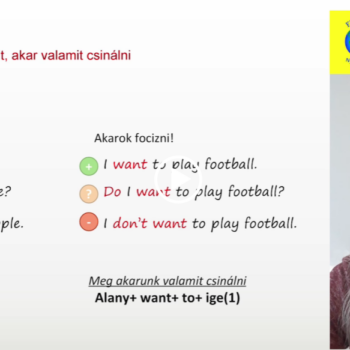 Screenshot 2024 08 14 114233