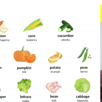 Zöldségek 9 Screenshot 2024 08 14 173512