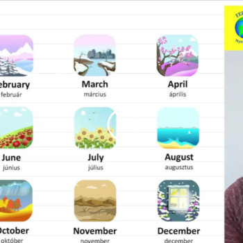 Screenshot 2024 08 14 180416