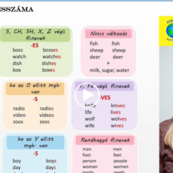 Főnevek többesszáma 11 Screenshot 2024 08 18 145435